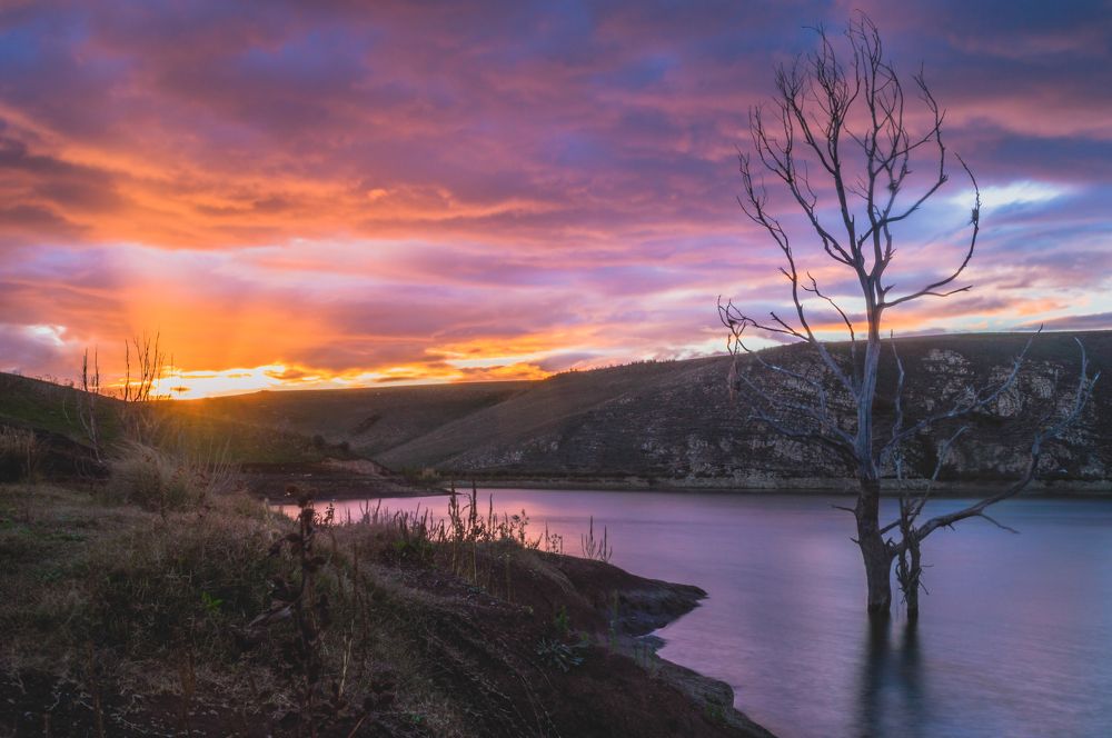 Photograph by Kolli Imed