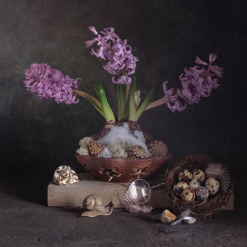 Фотография автора Виктория Шаманова