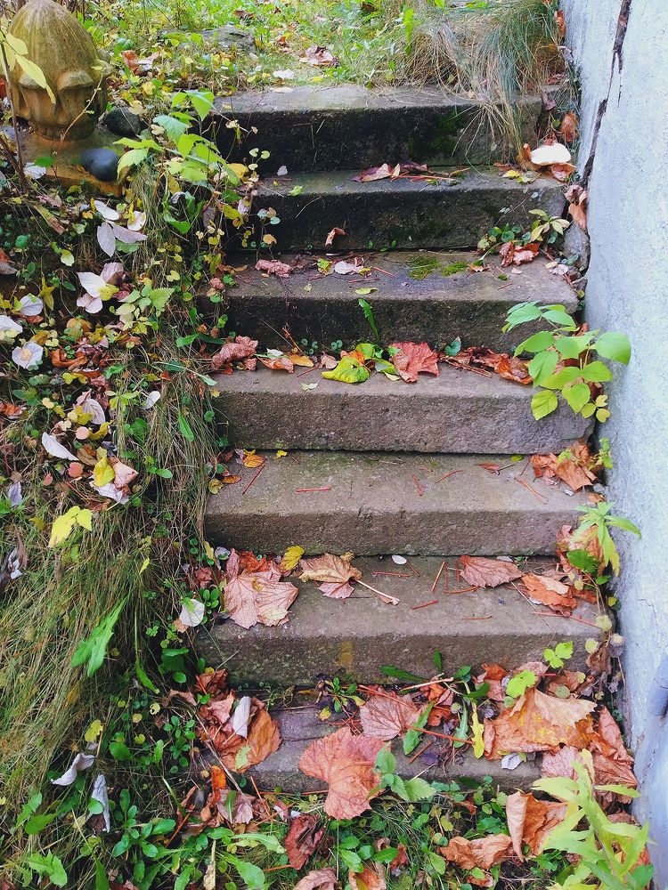 Photograph by Владимир Воложинский