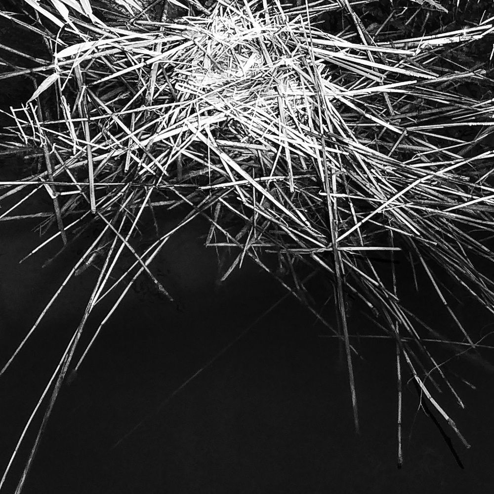 Photograph by Alexey Bakhtiozin