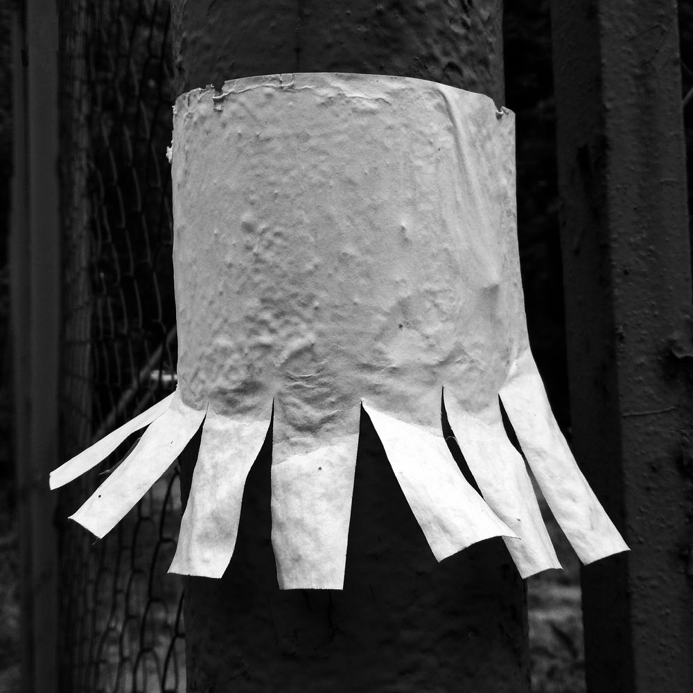 Photograph by Alexey Bakhtiozin