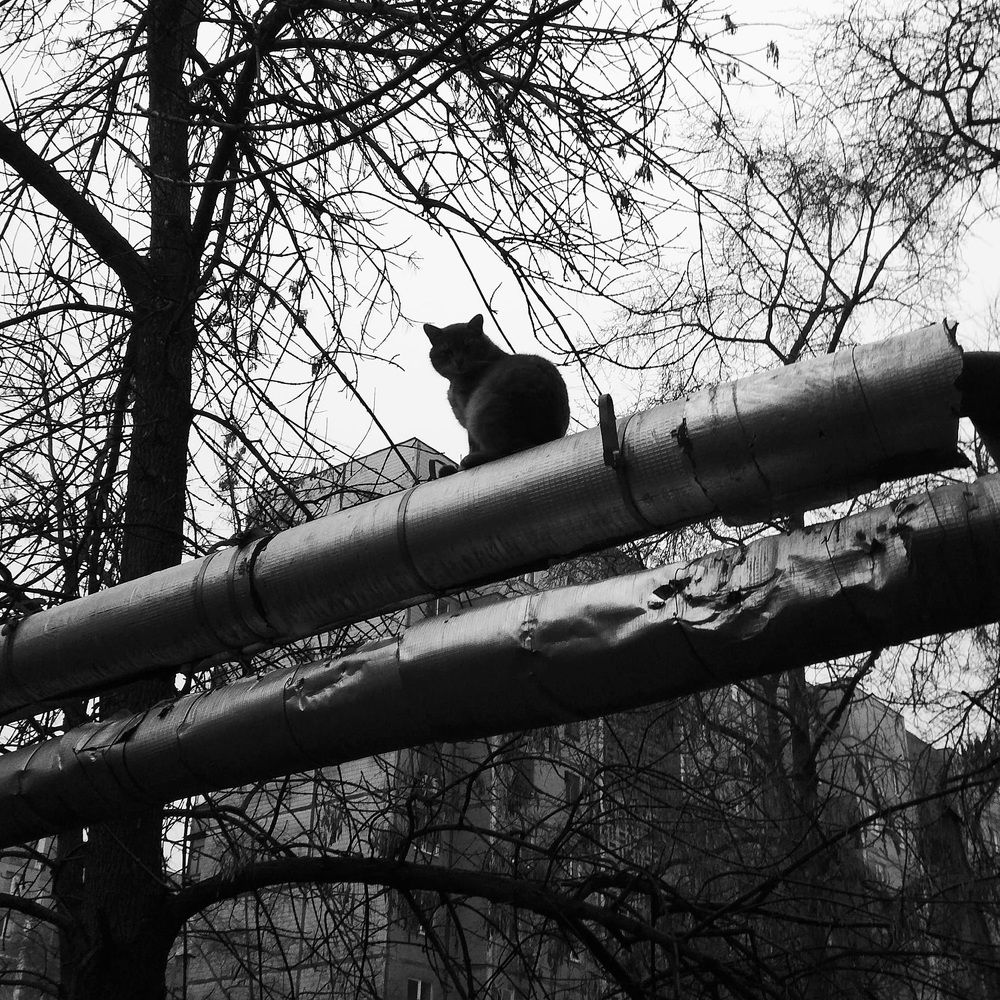 Photograph by Alexey Bakhtiozin