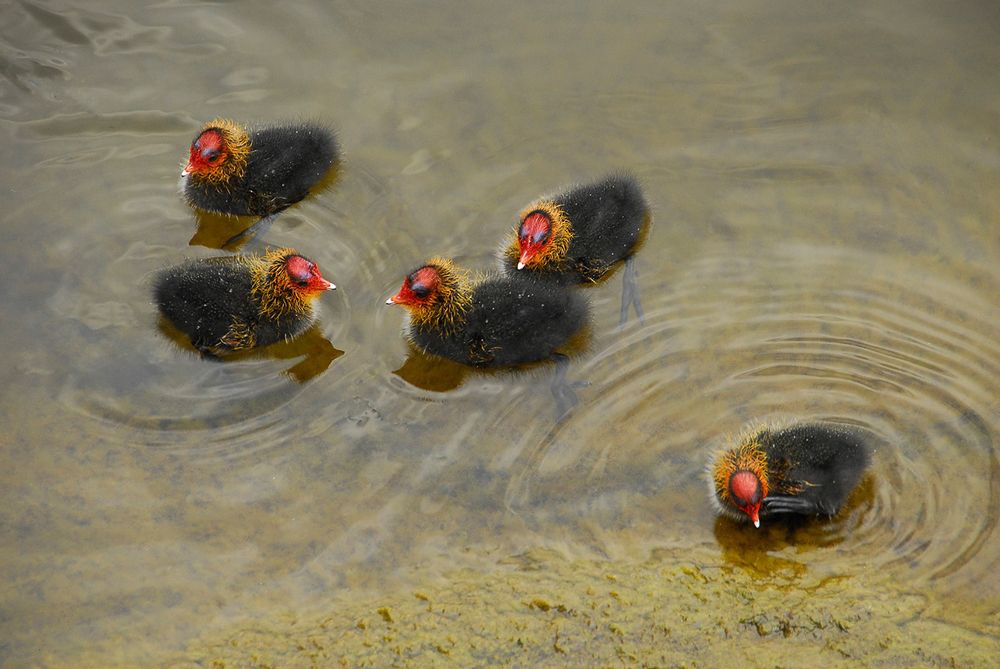 Photograph by Alexey Bakhtiozin