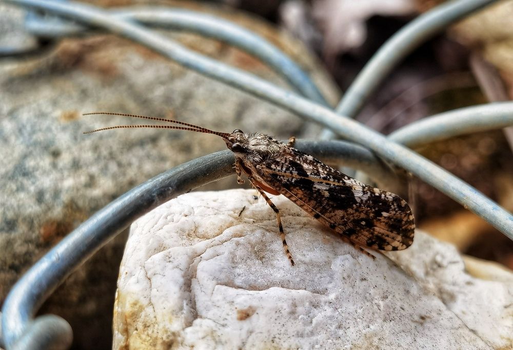 Photograph by Олика