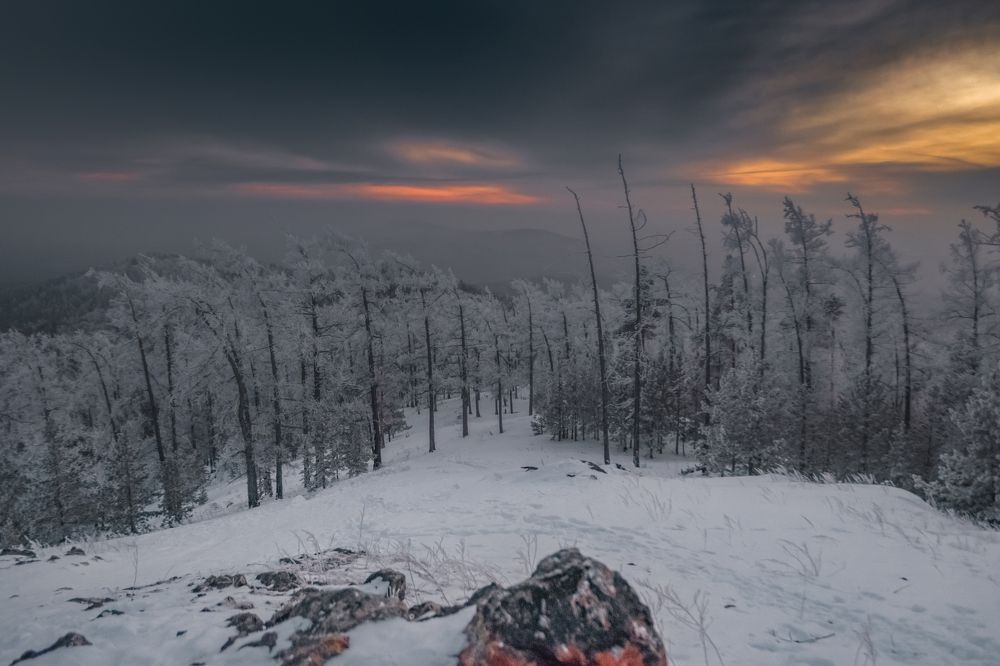 Фотография автора Наталья Бабичева