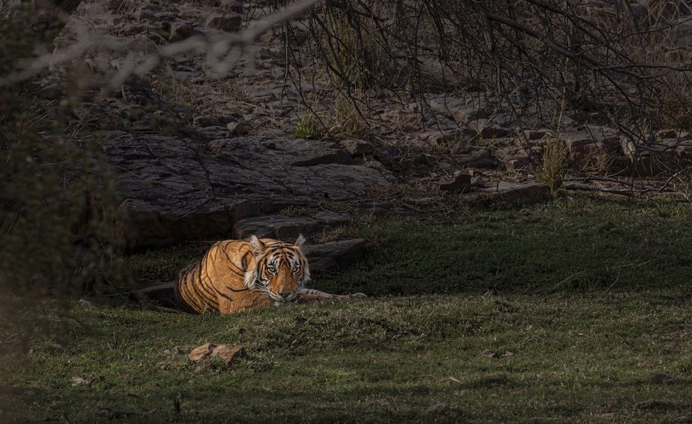 Photograph by Abhinav Behera