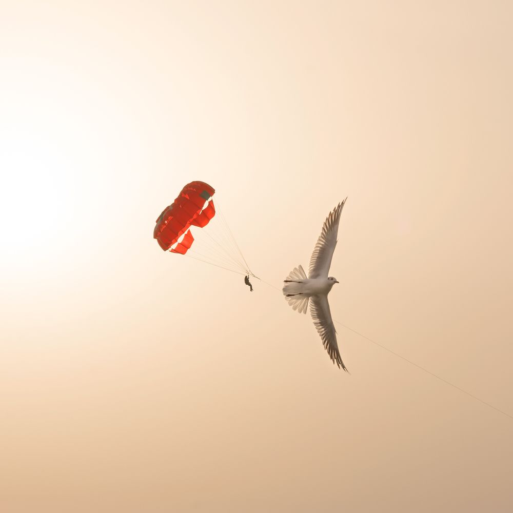 Photograph by Milad Haddadiyan