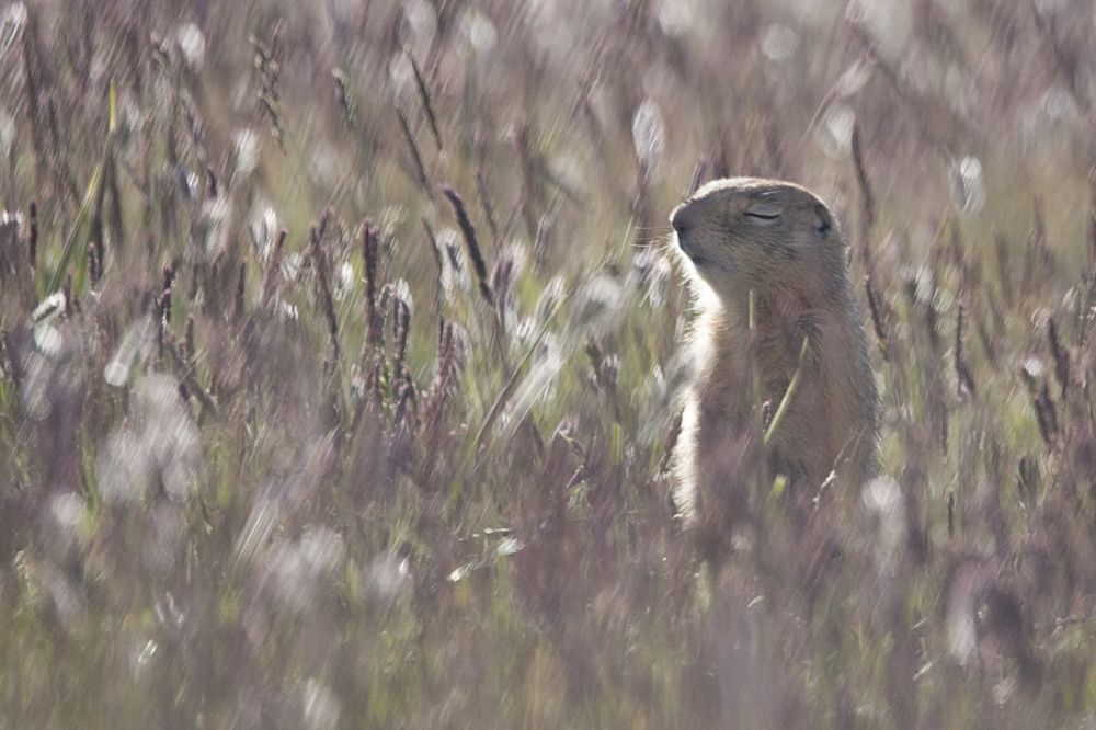 Photograph by Владимир Рубинчик