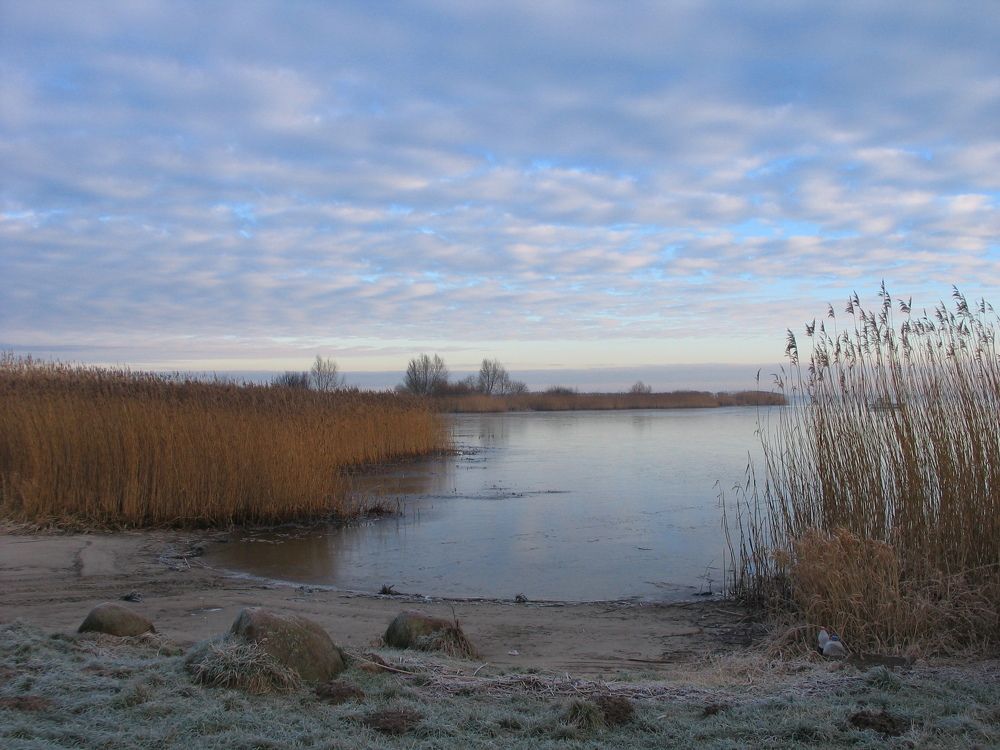 Photo #7325831