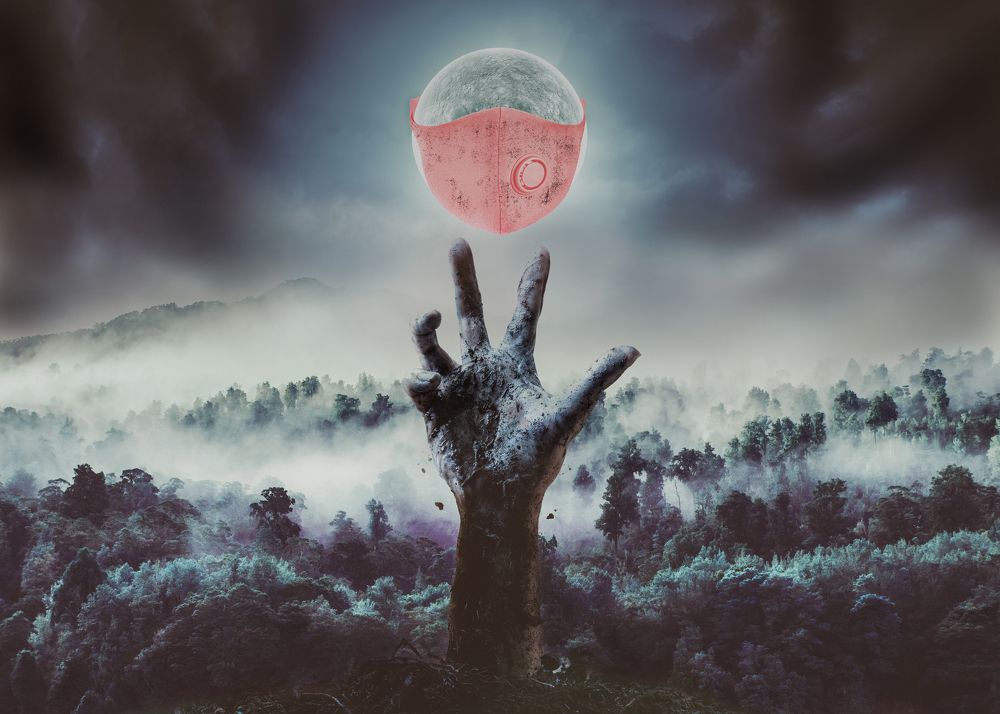 Photograph by Ali Saadat Saadatphotoart