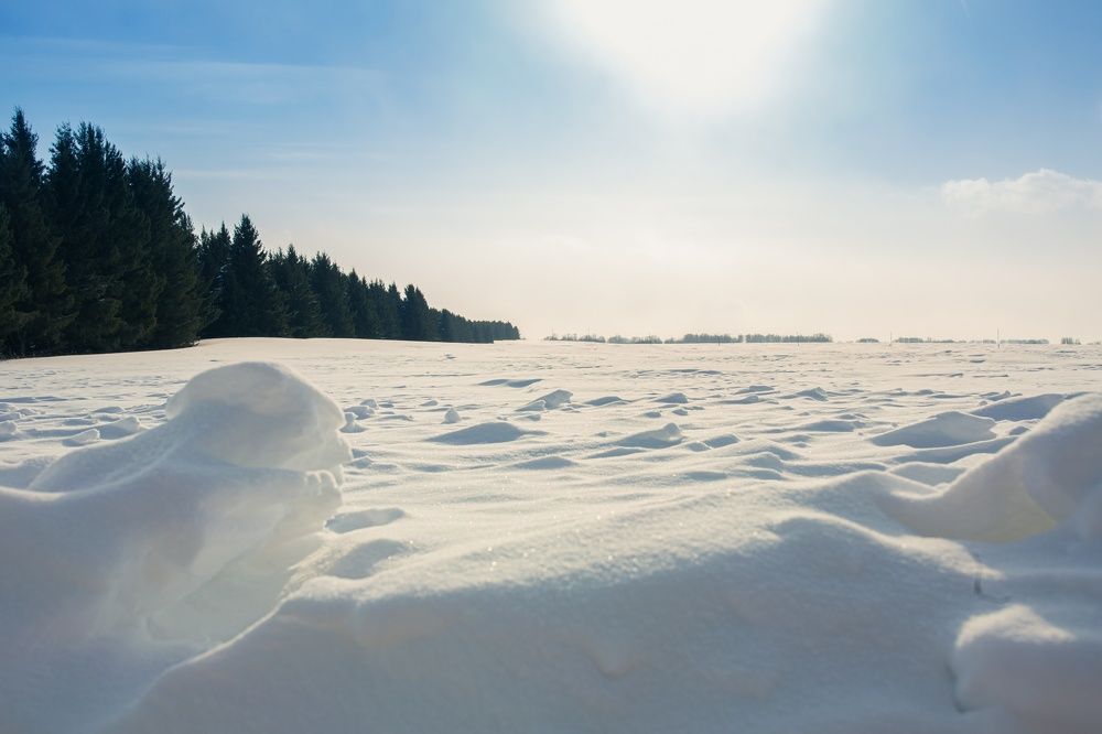 Photograph by Татьяна Афанасьева