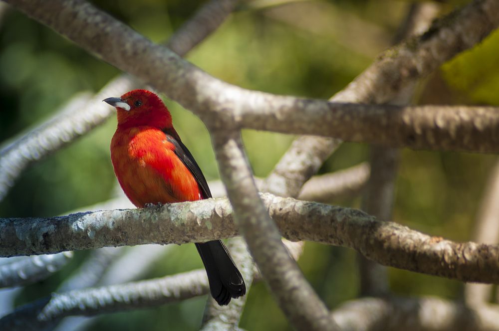 Photograph by Jorge Almeida Filho