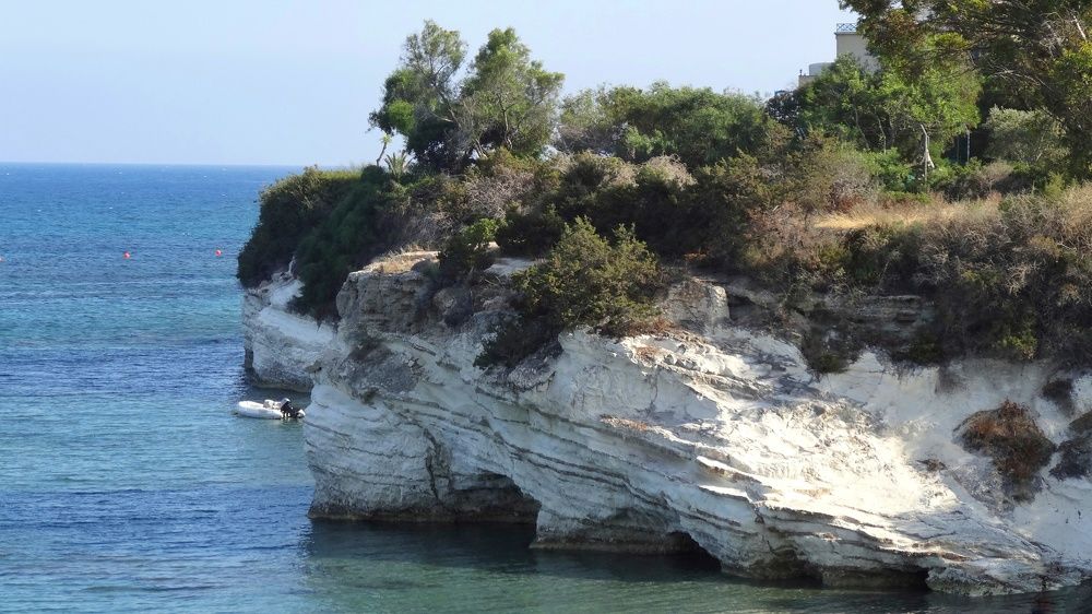 Photograph by Ольга