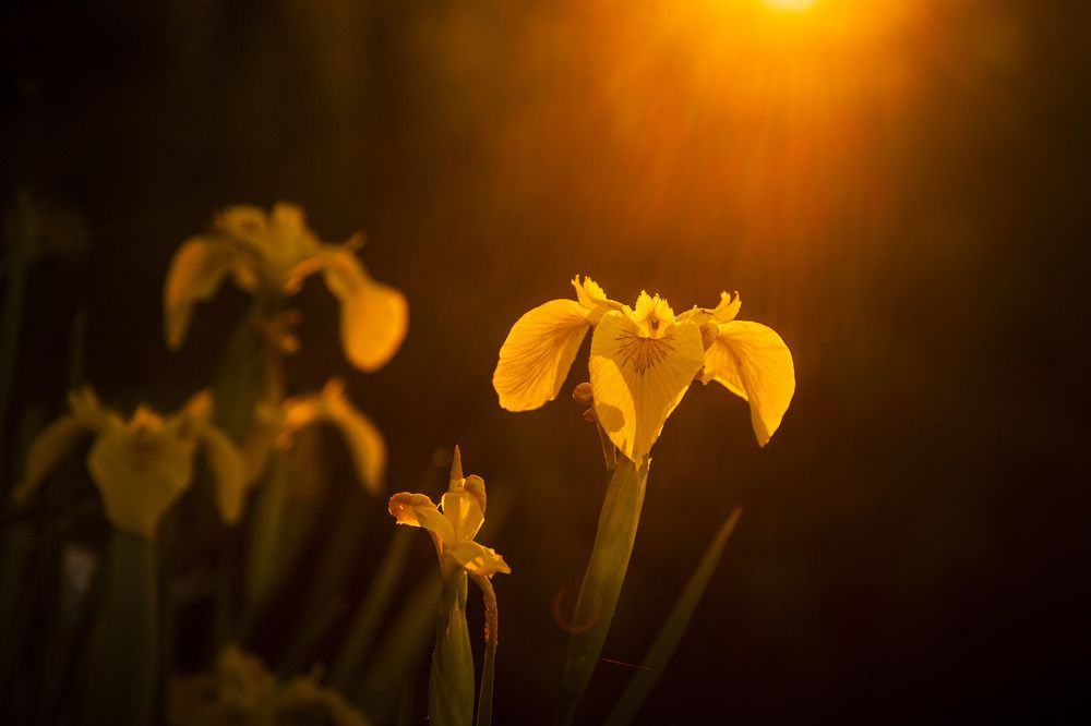 Photograph by Станислав Напалкин