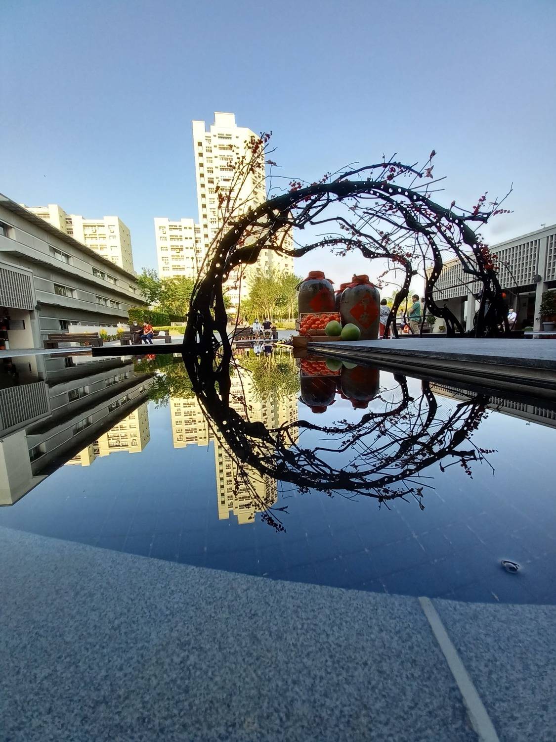 Reflection of Faith