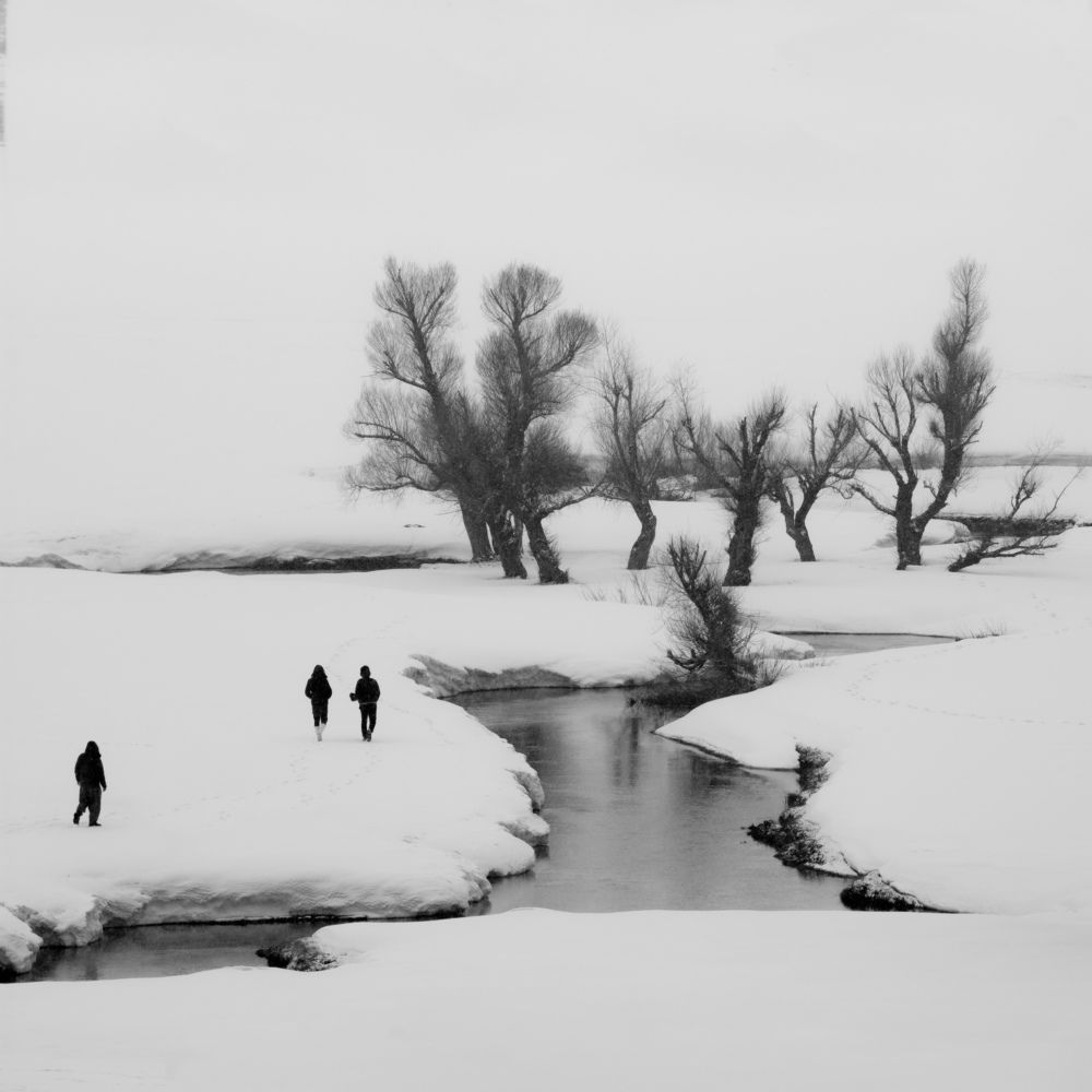 Фотография автора Alipour mohammad