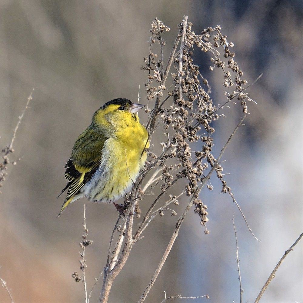 Photograph by Сергей Парантаев