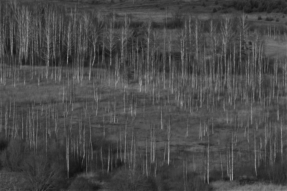 линии жизни