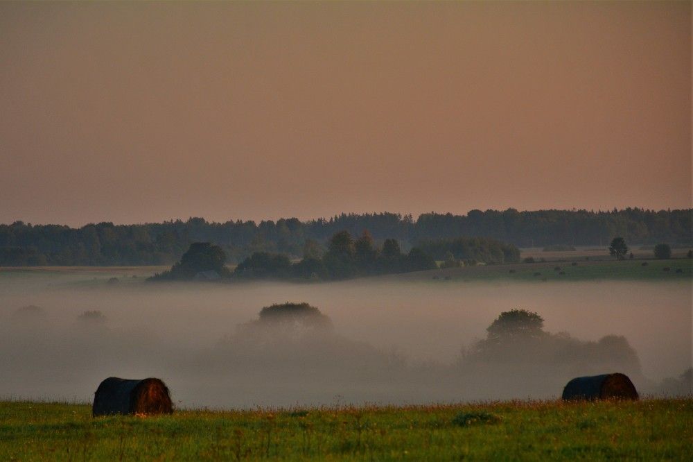 Фотография автора Linards Onzuls