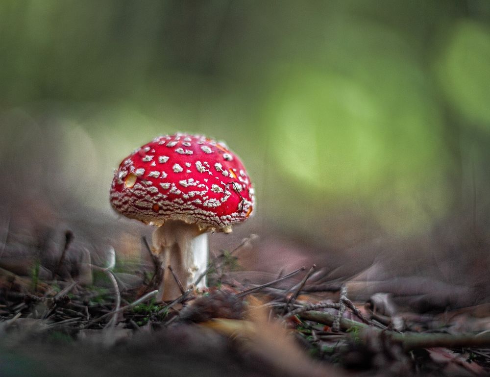 Photograph by Владимир Жуков