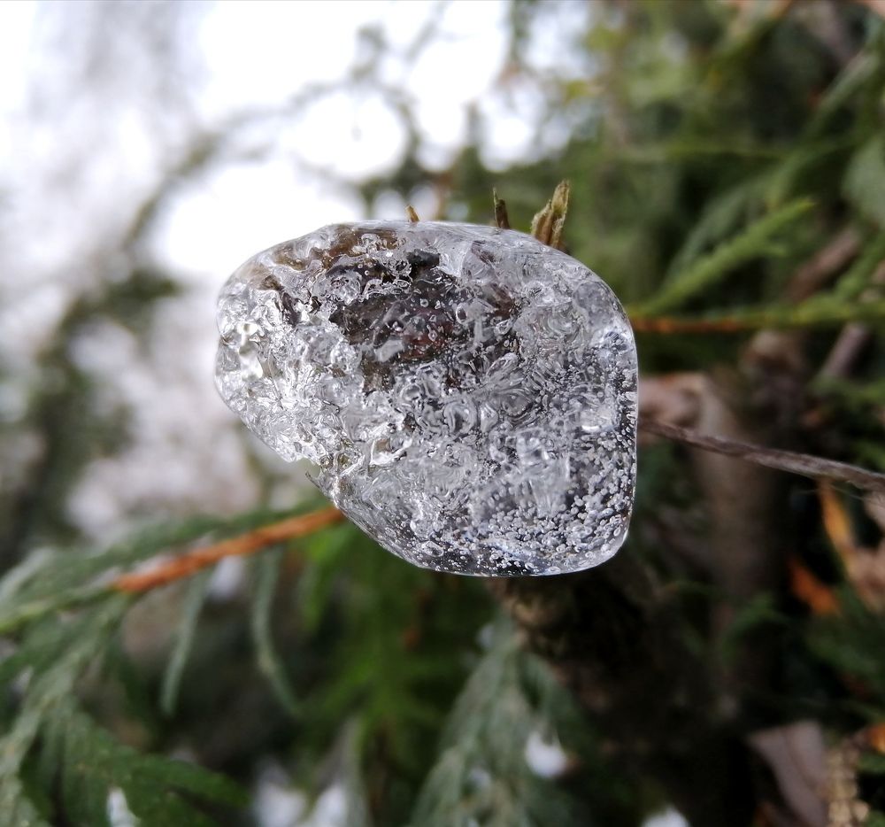 Photograph by Светлана Веселовская
