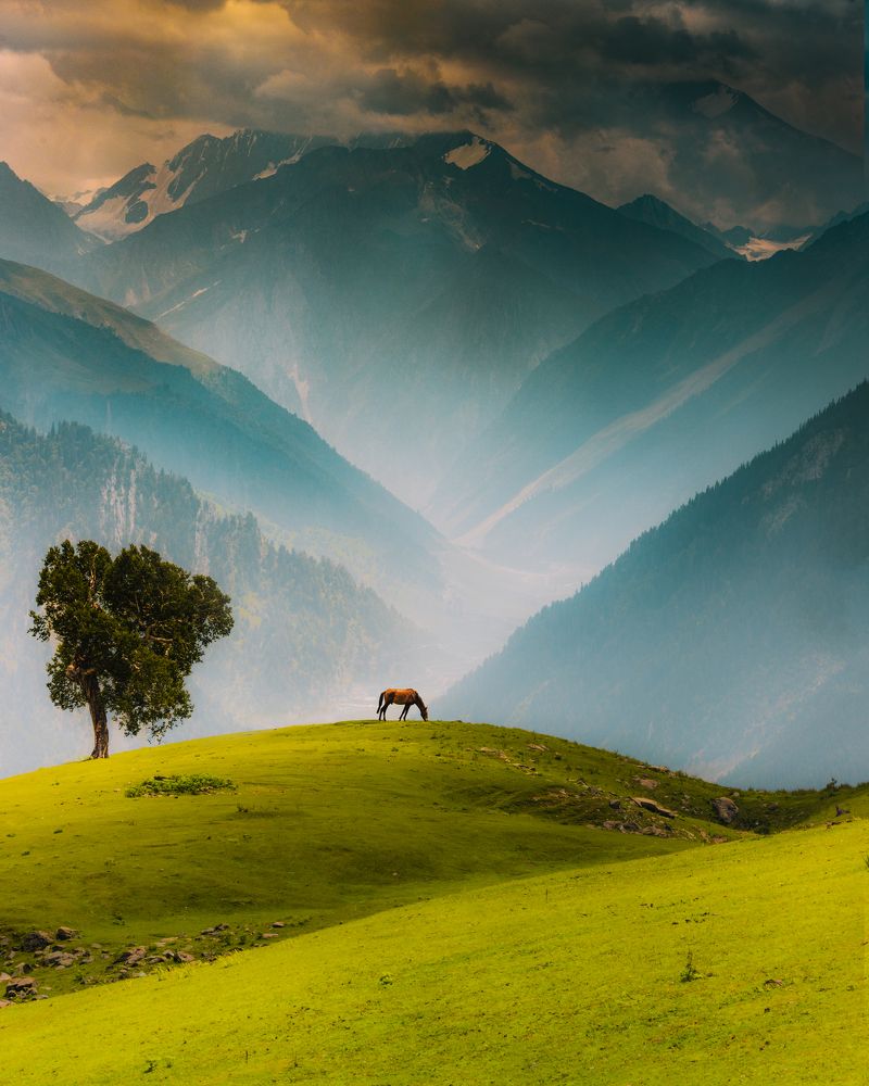 Фотография автора Jeet Khagram