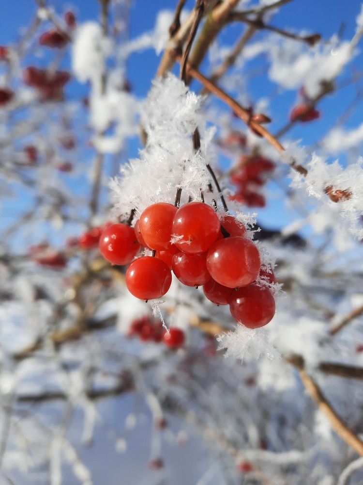 Photograph by Елена Симонова