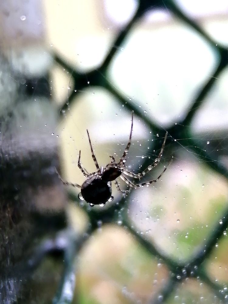 Photograph by Светлана Веселовская