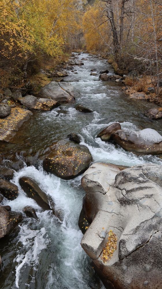 Горная река