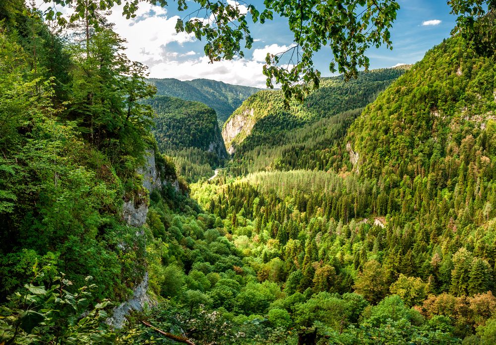 Photograph by Виктор Садырин