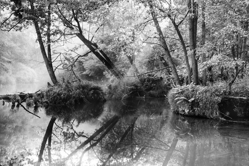 Photograph by Gilgalen