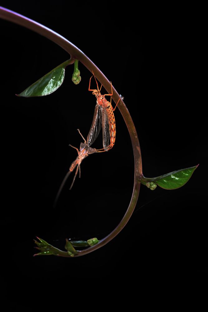 Photograph by Yuwaraj Gurjar