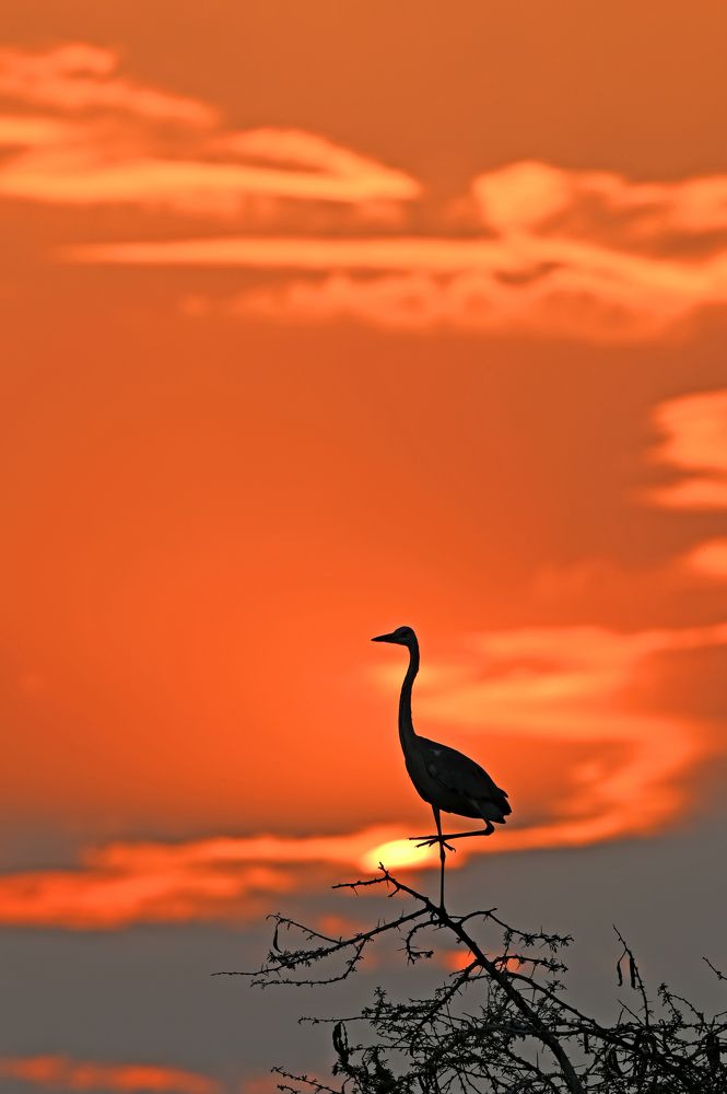 Photograph by Yuwaraj Gurjar