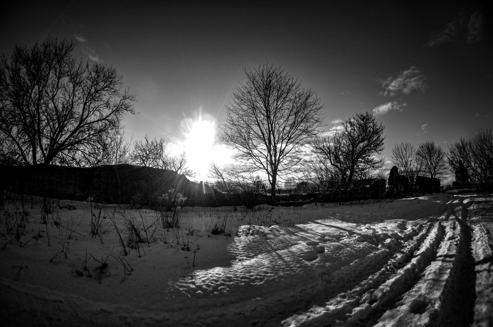 Photograph by Яна Золотоверхая