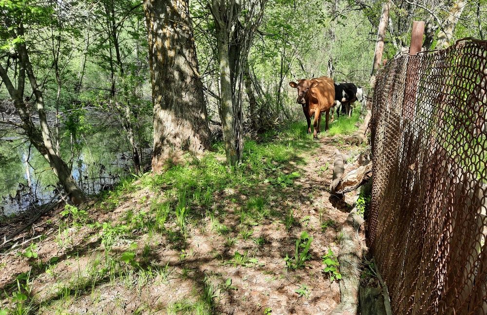 Photograph by Дмитрий Вязьмин