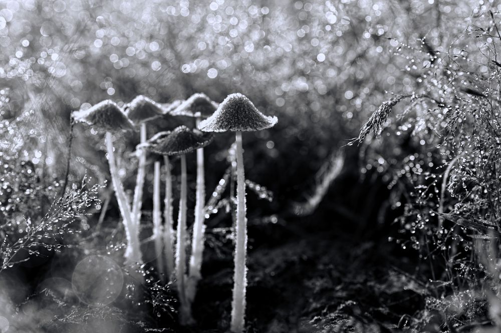 Photograph by Yuwaraj Gurjar