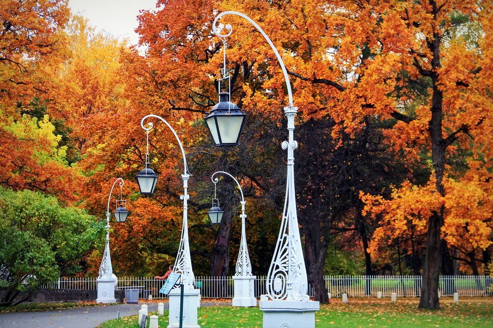 Photograph by Stas Staroverov