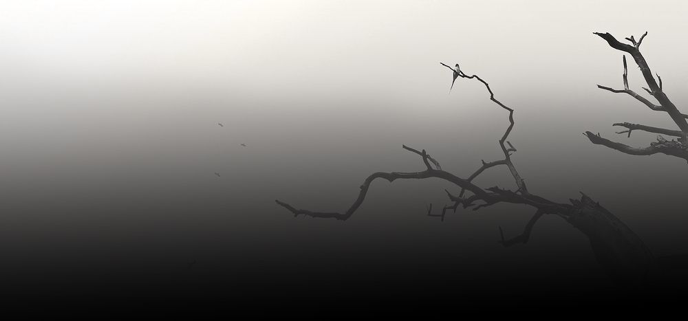 Photograph by Saurabh