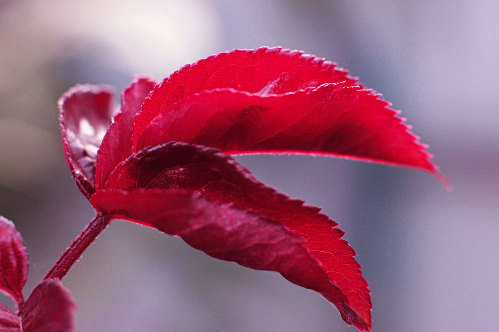 Photograph by Любовь Конева