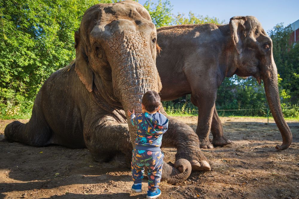 Photograph by Aleksei Utkin