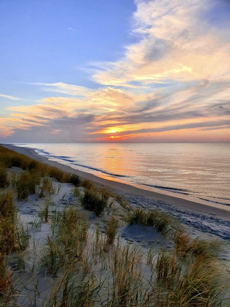 Photograph by Elena Ibragimova
