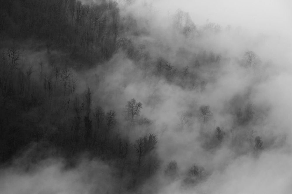 Photograph by samaneh jamali