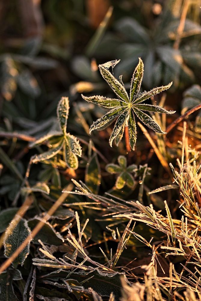 Photograph by Елена Одынец