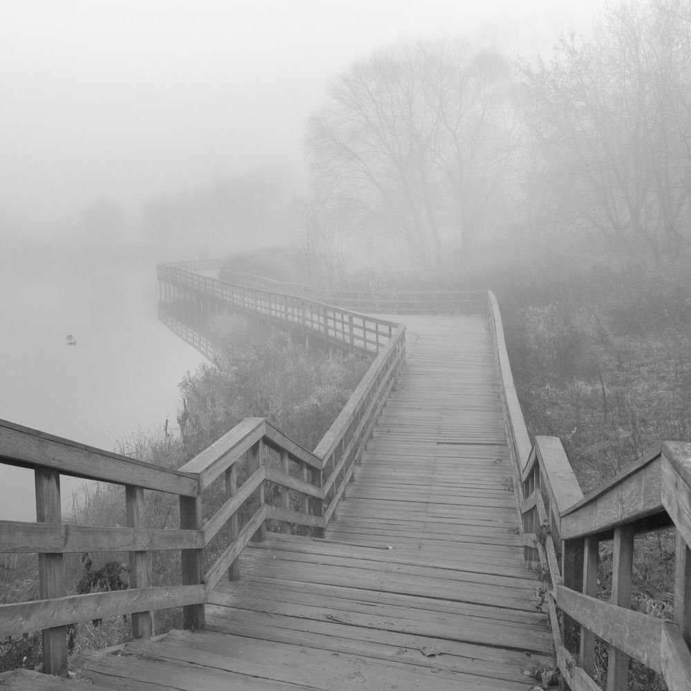 Photograph by Татьяна Макотра