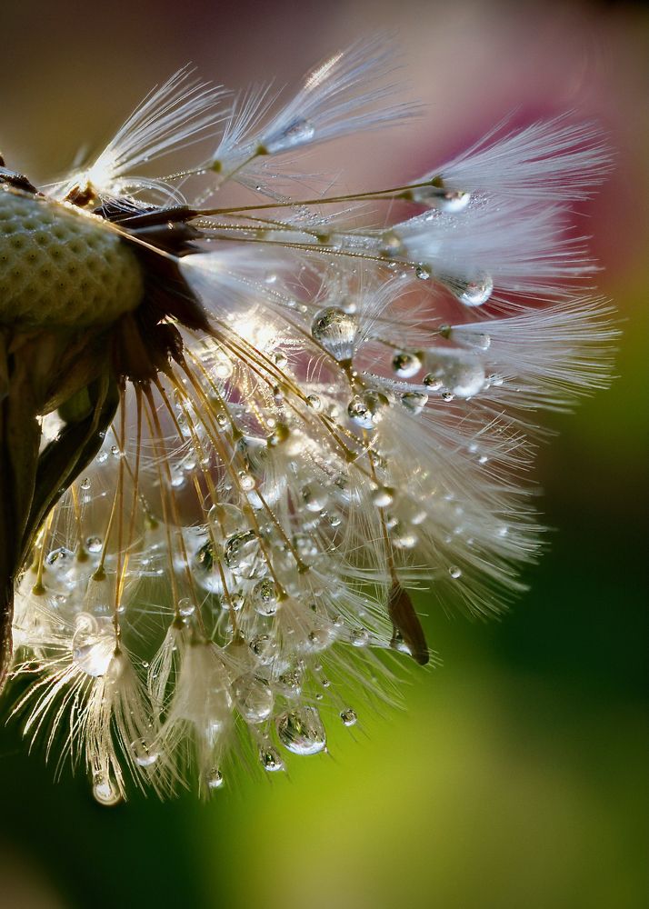 Photograph by Igor Ryzhov