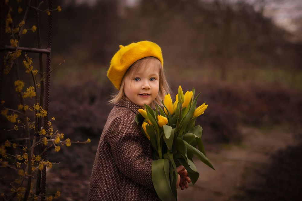 Желтые тюльпаны