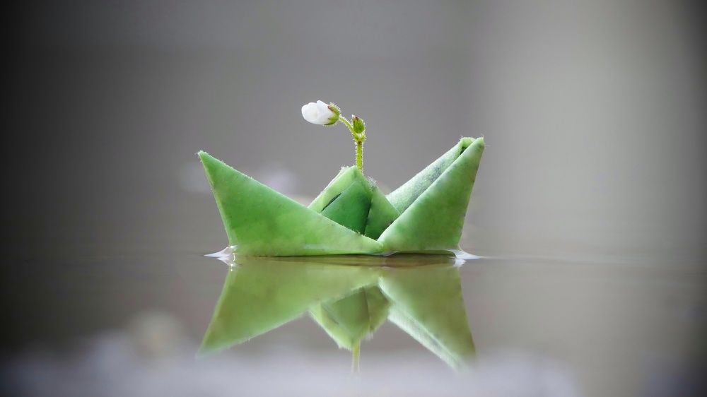 Photograph by ali bakhshi