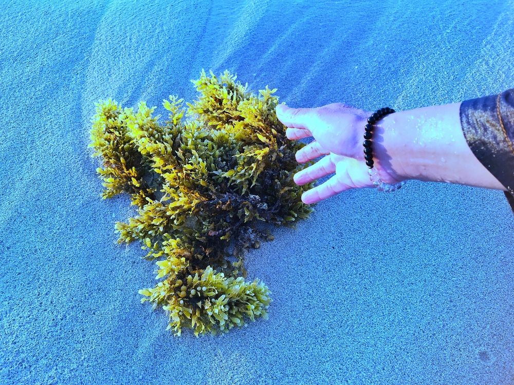 Photograph by Siham Alsuwayah