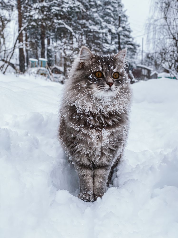 Photograph by Глеб