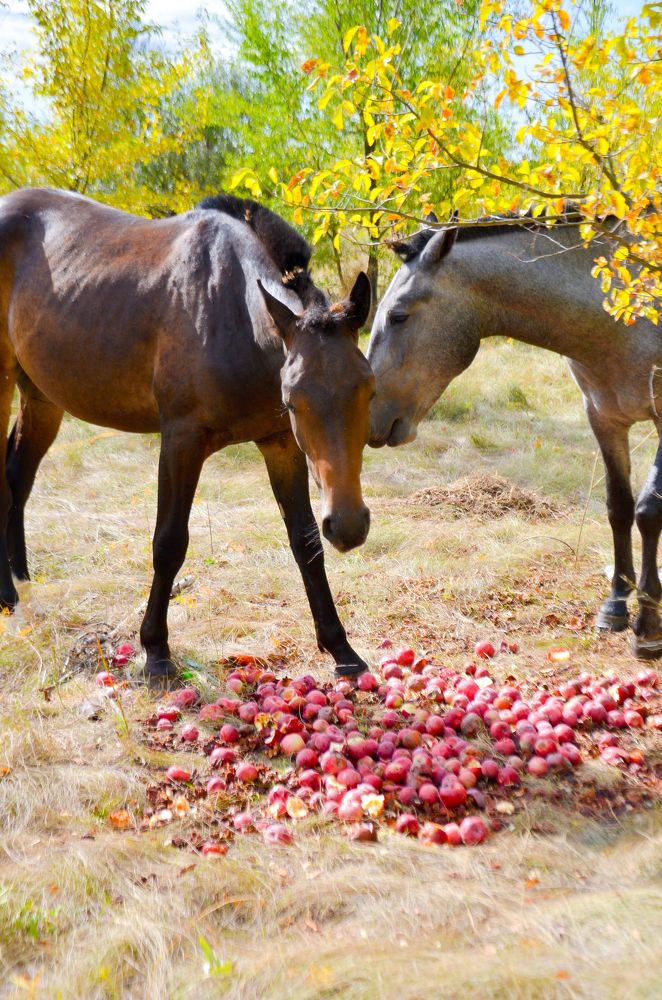 Photograph by Наталия Иванова